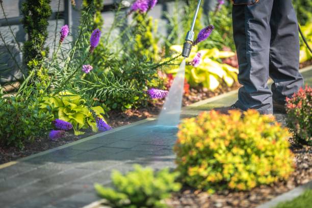 Best Sidewalk and Walkway Cleaning  in Sauk Vlage, IL