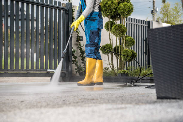 Best Dumpster Area Cleaning  in Sauk Vlage, IL